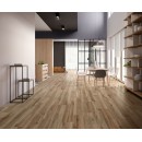 Гранитогрес Barkwood Natural